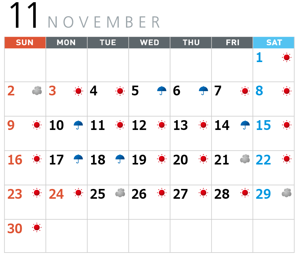 11月